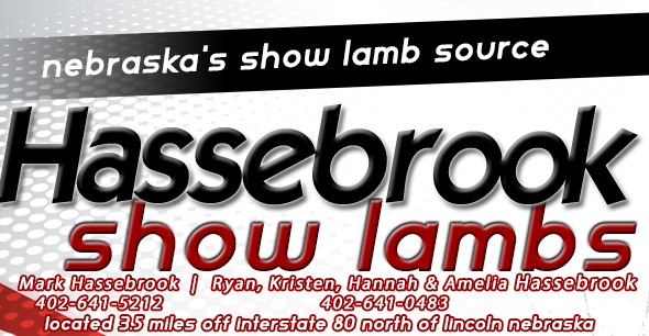 Hassebrook Show Lambs   - Nebraska's NEWEST Show Lamb Source!