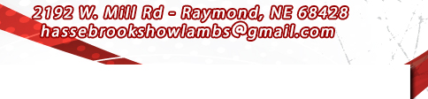 Hassebrook Show Lambs   - Nebraska's NEWEST Show Lamb Source!